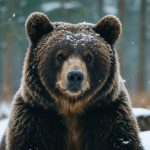 BigBear.ai’s Dristige Vision: Navigering af Udfordringer med Strategisk Præcision